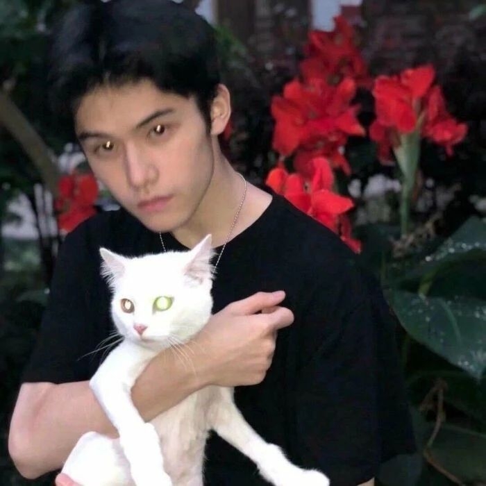 爷的魅力你不懂的第一张照片--南靖征婚网