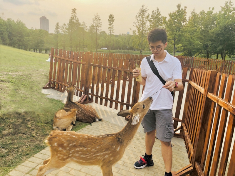 米兰的小铁匠的第一张照片--南靖征婚网