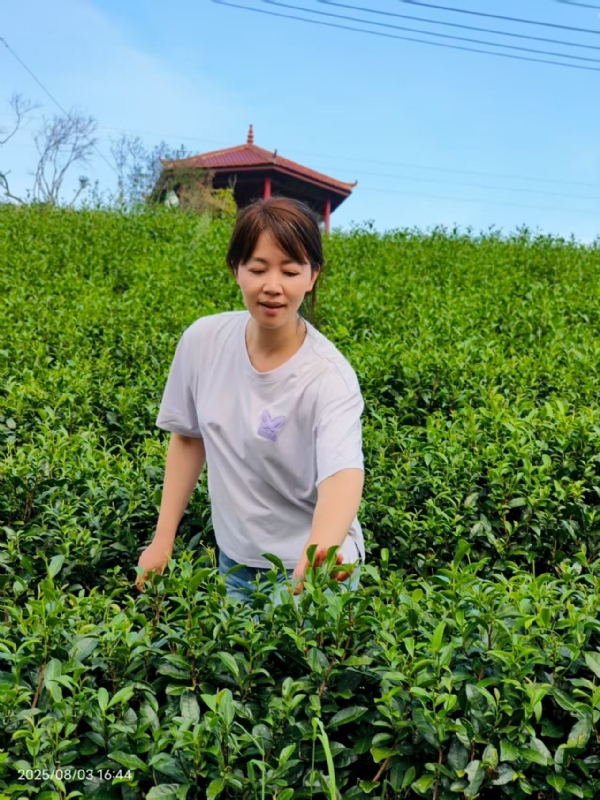 Q绮芳的第一张照片--南靖征婚网